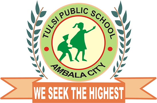 Tulsi Public School